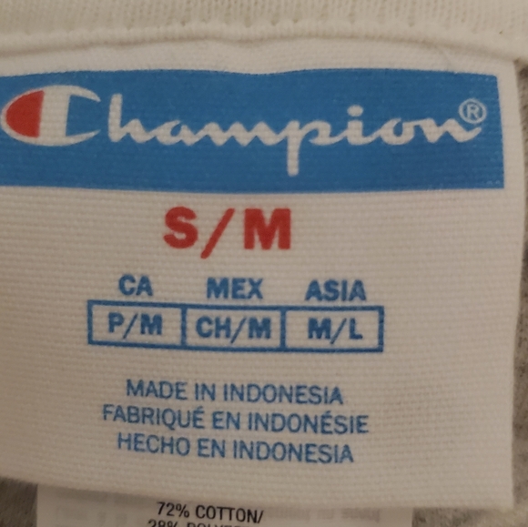 Champion - Picture 11 of 12